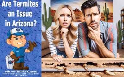 Are Termites an Issue in Arizona?