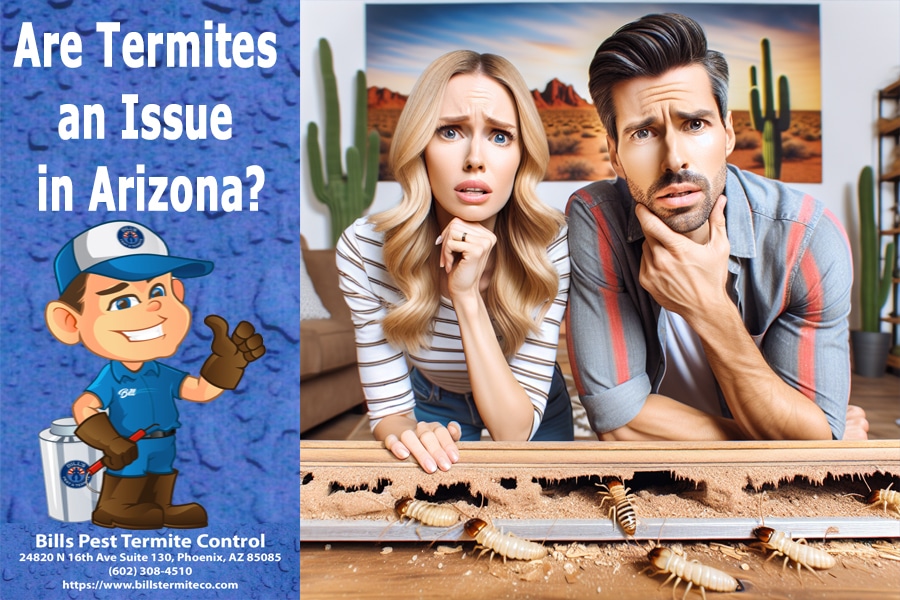 Are Termites an Issue in Arizona?