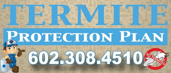 Best Arizona Termite Protection Plan Phoenix Az