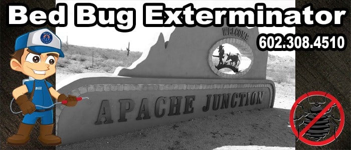 Best Bed Bug Exterminator Apache Junction AZ 