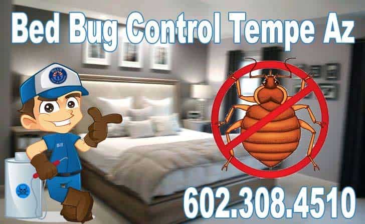 Best Bed Bug Control Tempe Az | Bed Bug Exterminators Tempe