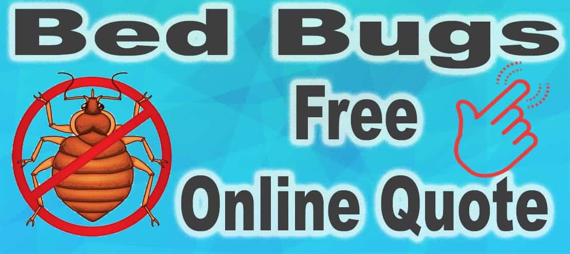 Bed Bugs Online treatment quote