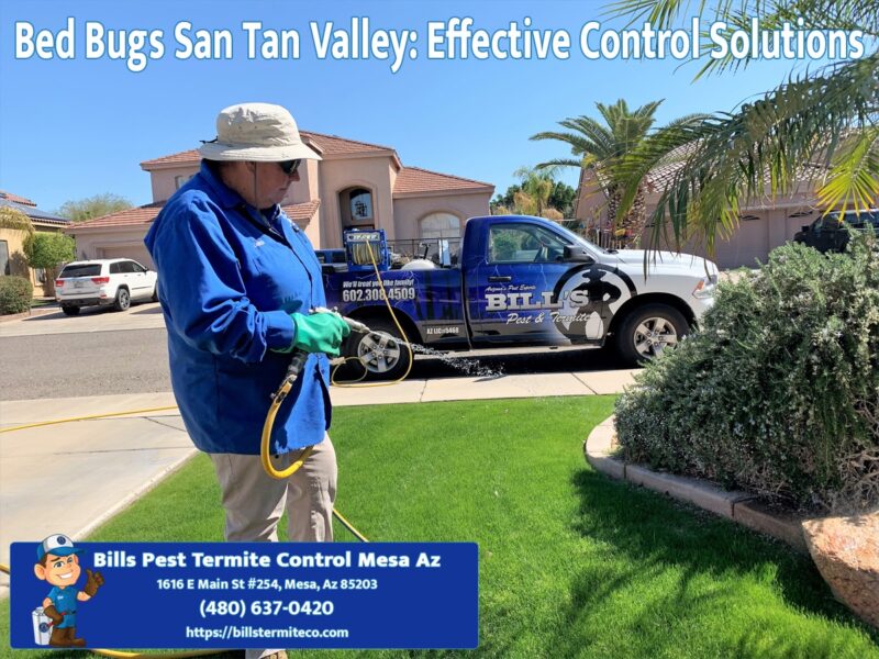 Bed Bugs San Tan Valley: Effective Control Solutions