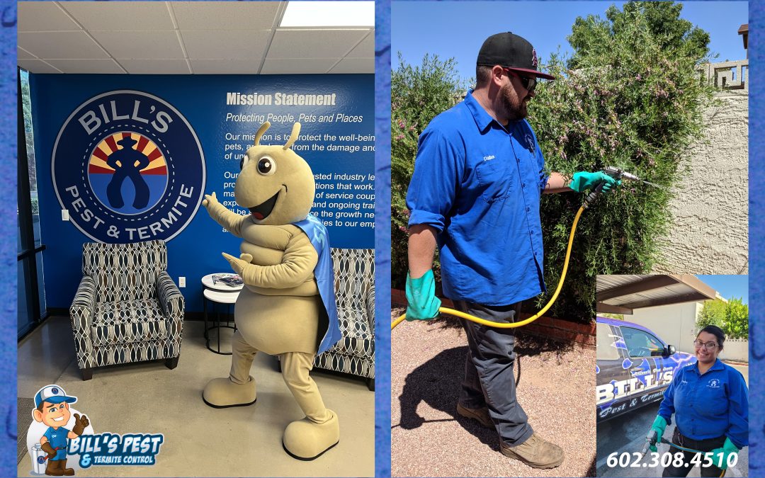 Best Arizona Pest Control Services