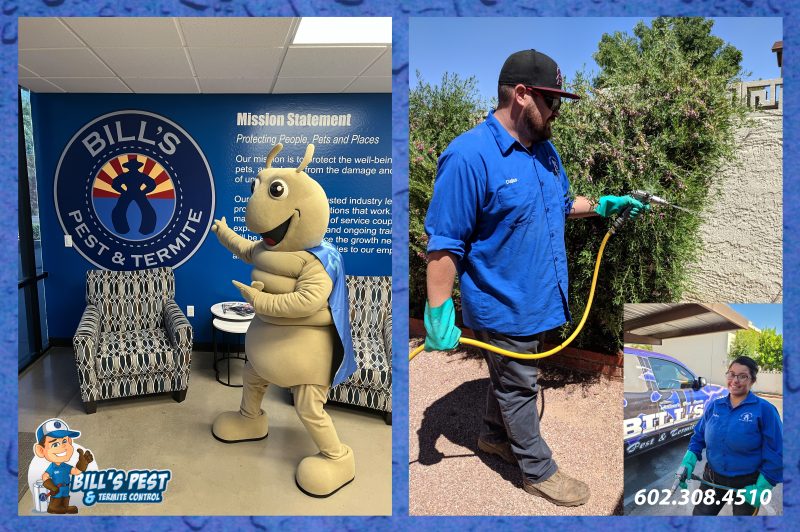 Best Arizona Pest Control Services