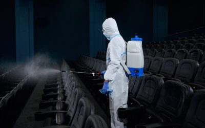 Best Mattress Fumigation Phoenix Az | Mattress & Box Spring Service