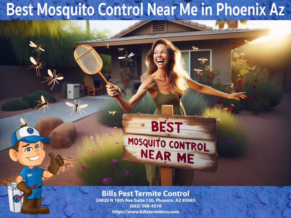 Best Mosquito Control Near Me in Phoenix Az