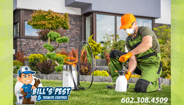 Best Natural Pest Control Service | Bills Pest Control