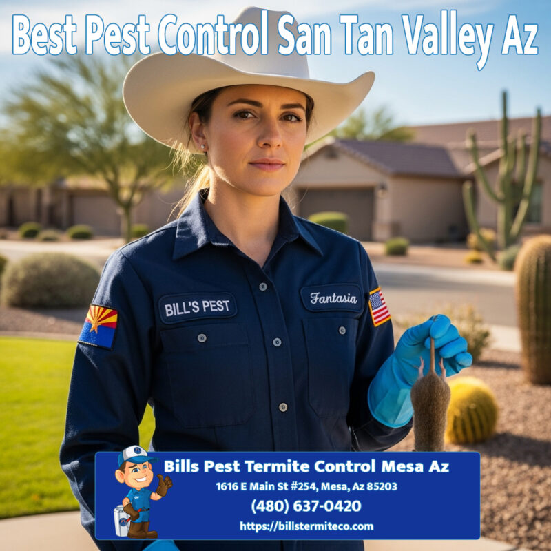 Best Pest Contorl San Tan Valley Az