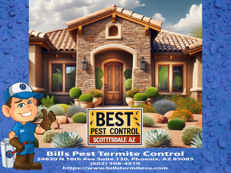 Best Pest Control Scottsdale Az
