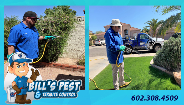 Best Pest Exterminator Services - Bills Pest Termite Control