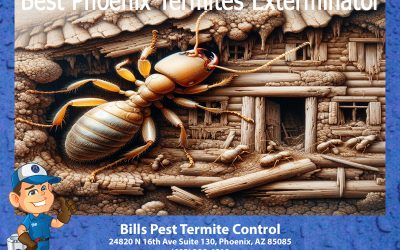 Best Phoenix Termites Exterminator