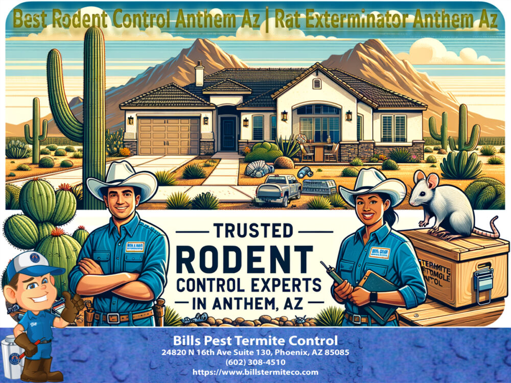 Best Rodent Control Anthem Az | Rat Exterminator Anthem Az