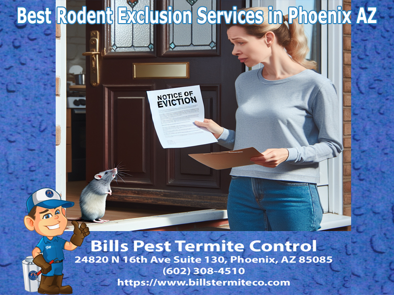 Professional Rodent Removal Avondale Az