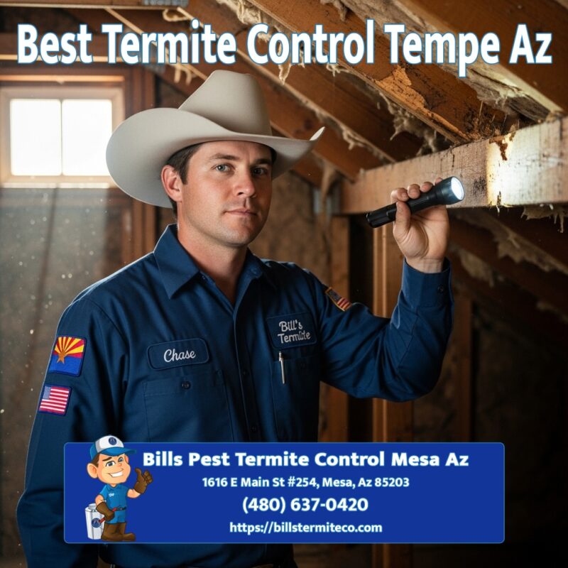 Best Termite Control Tempe Az