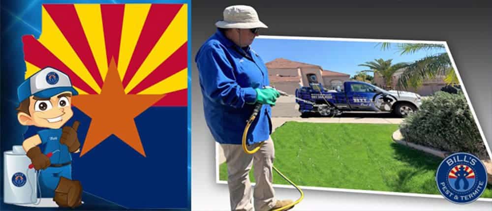 Best Pest Control in Phoenix Arizona