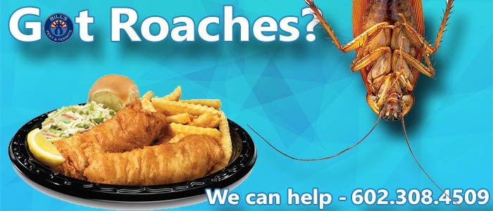 cockroach pest control phoenix az