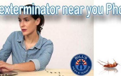 Find Exterminator Phoenix Az – #1 Bills Pest Termite Control