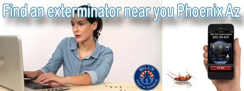 Find Exterminator Phoenix Az – #1 Bills Pest Termite Control