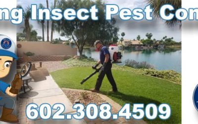 Flying Insect Pest Control Phoenix Az | Insect Exterminator