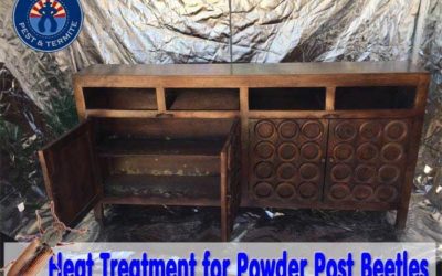 Heat Treatment Powder Post Beetles Phoenix AZ