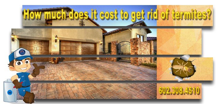 What is the average Termite Treatment Cost Phoenix Az?