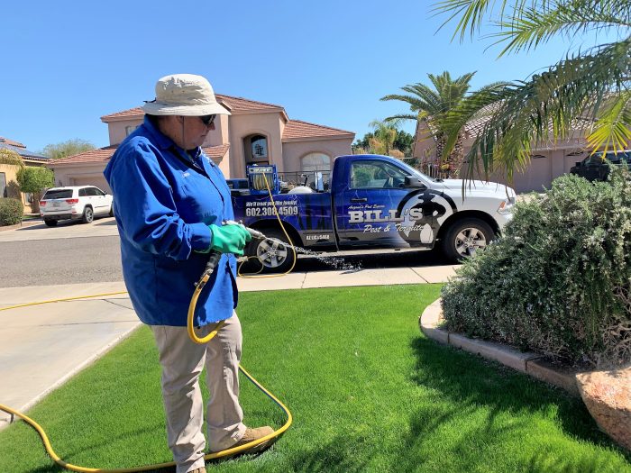 Best Pest and Termite Control Wickenburg, AZ