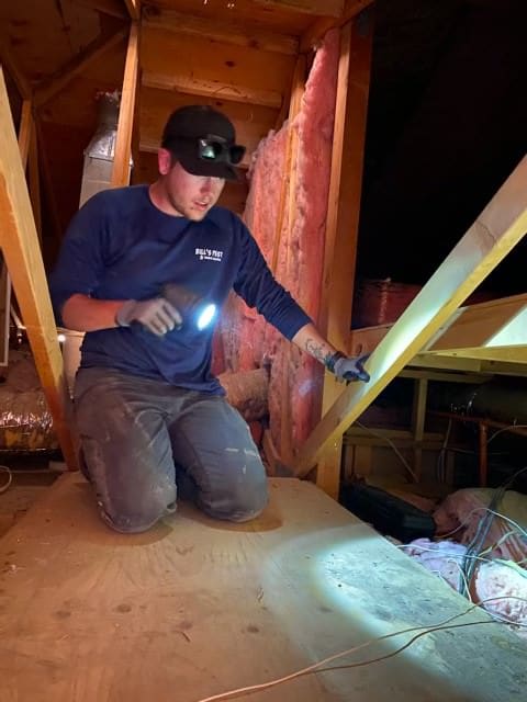 Best Pest Inspection Near Me in Phoenix Az