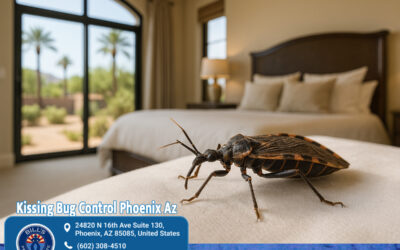 CDC Warning: Kissing Bug Control Arizona Homeowners Need Now