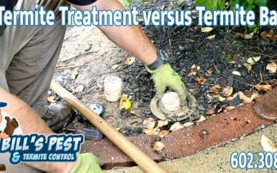 Liquid Soil Termite Treatment Versus Termite Baiting Phoenix Az