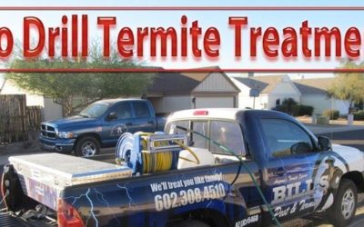 Best No Drill Termite Treatment Phoenix, AZ
