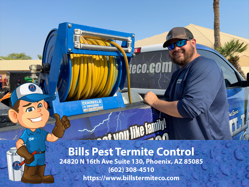 Best Pest Control Black Canyon City Az