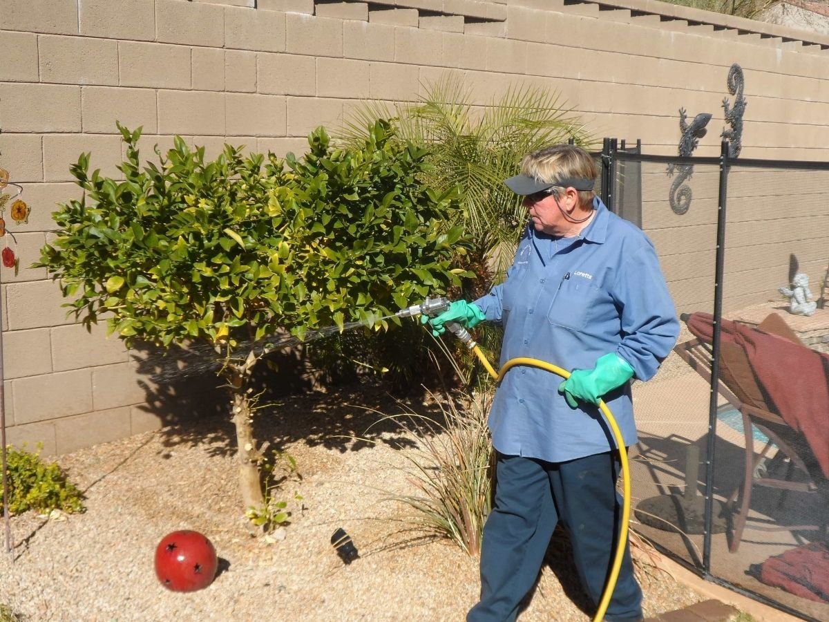 The Ten Toughest Pests to Eradicate in Phoenix, Arizona