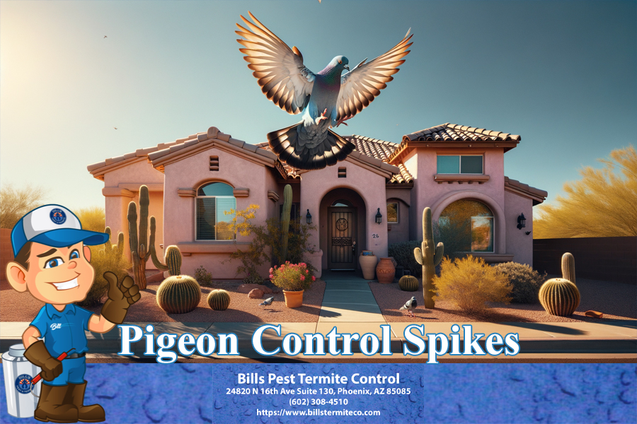 Professional Pigeon Control Spikes