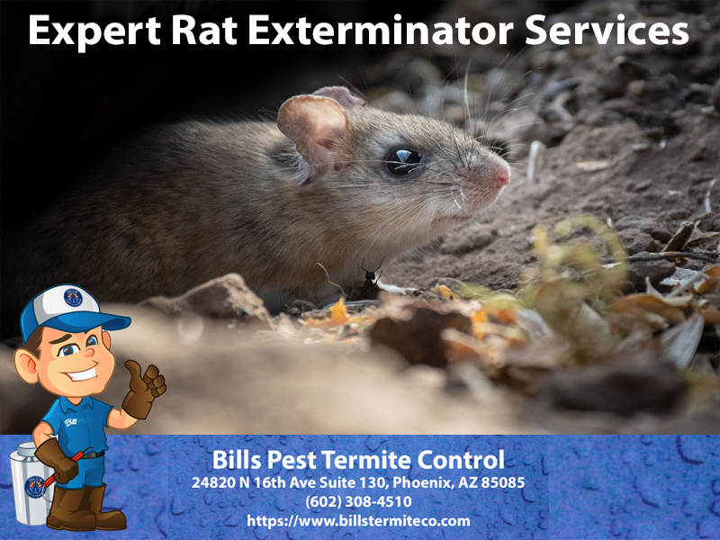 Rat Exterminator Tolleson AZ