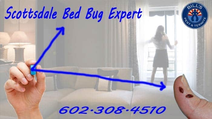Affordalbe Scottsdale Bed Bug Removal and Bed Bug Fumigation Scottsdale Services