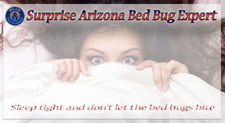 Surprise Arizona Bed Bug Expert