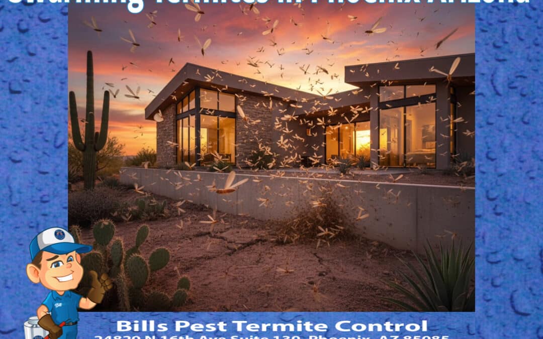 Got Swarming Termites? Termite Swarming Season in Phoenix Az