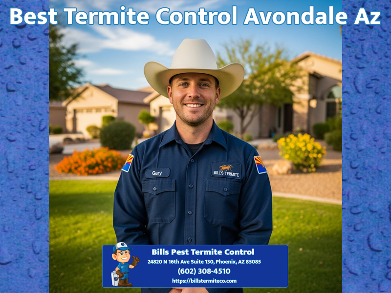 Termite Control Avondale Az Best Termite Exterminator Avondale Az