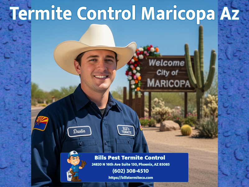 Best Termite Control Maricopa Az