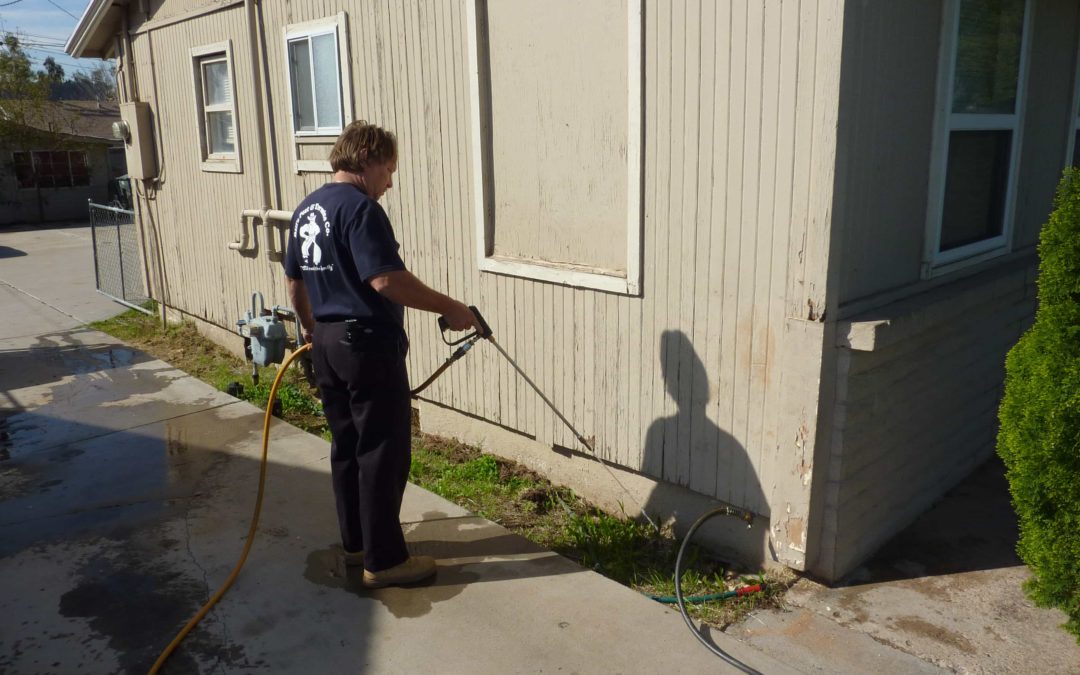 Why Is Termite Control So Expensive?