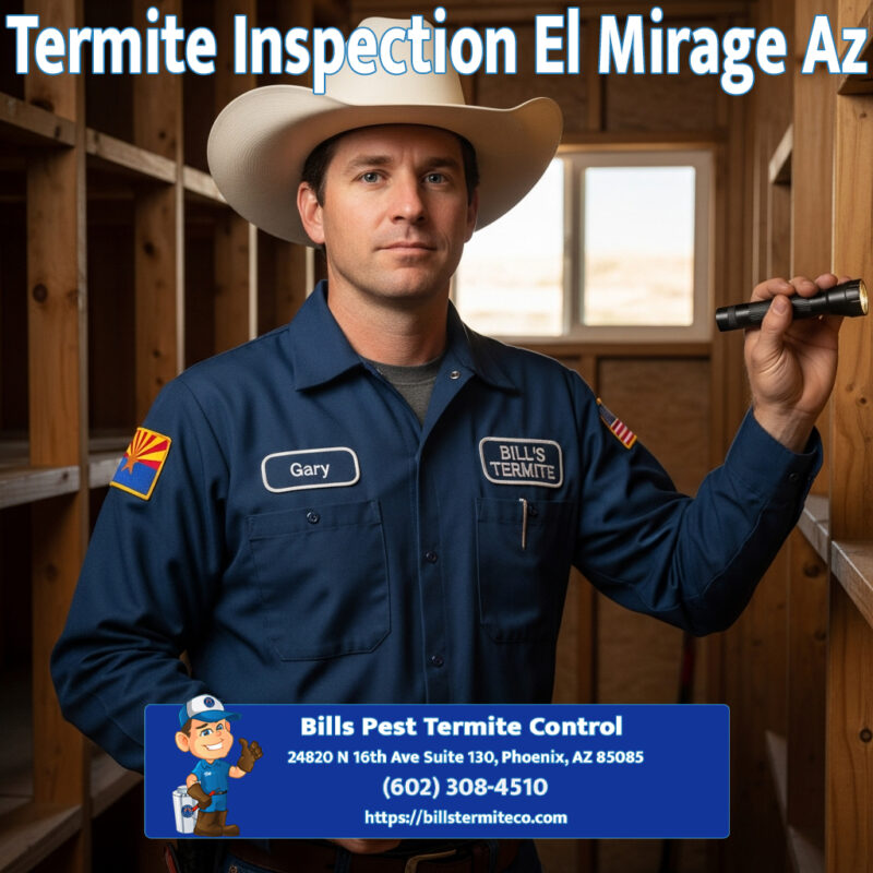 Best Termite Inspection El Mirage Az