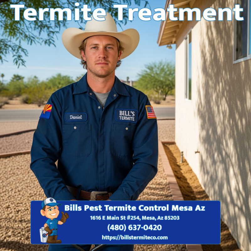 Best Termite Treatment