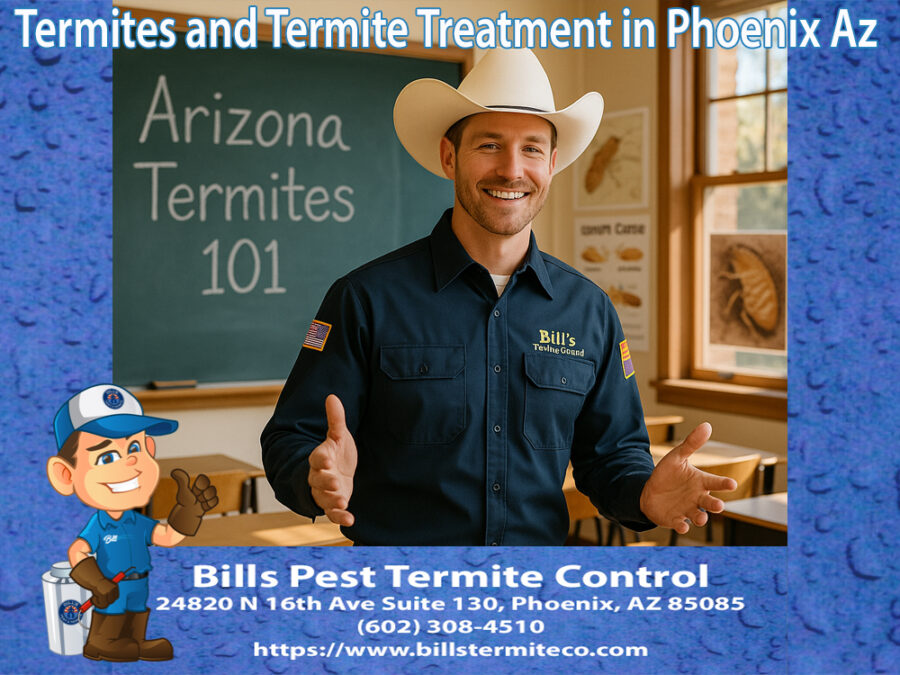 Termites and Termite Treatment in Phoenix Az