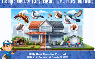 The Top 5 Most Destructive Pests and How to Protect Your Home