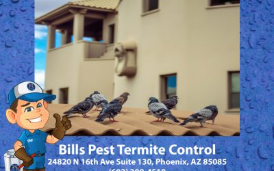 Ultimate Guide to Pigeon Proofing Your Property in Phoenix: Tips and Tricks from the Experts