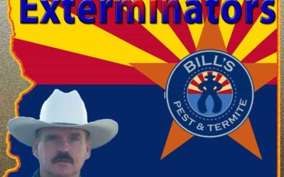 Best Arizona Exterminators – Bills Pest Termite Control