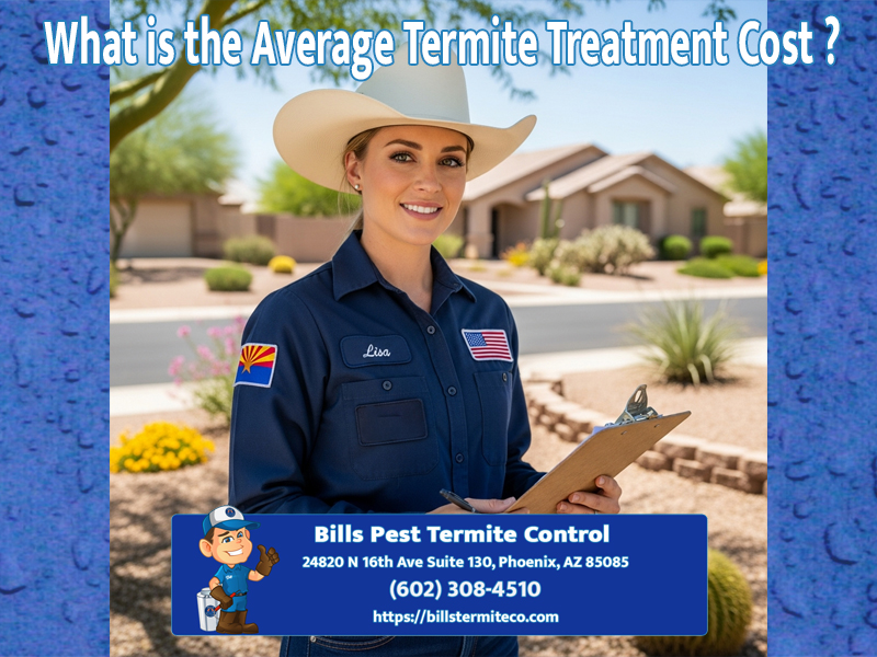 What is the Average Termite Treatment Cost?