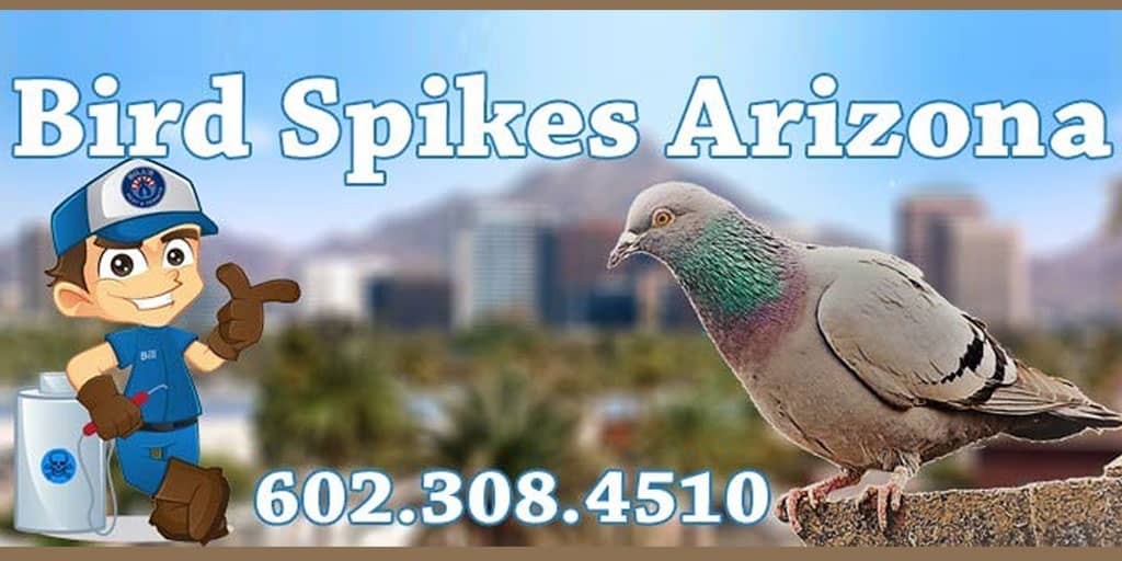 Need to know how to install Bird Spikes? We can help!