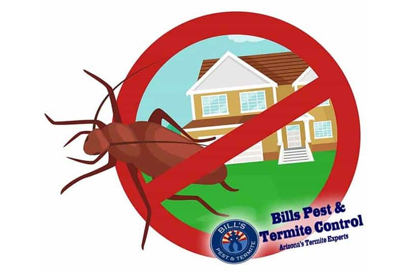 Ten Pest Control Methods Debunked by a Pest Control Expert